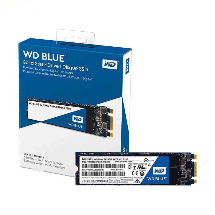 Ổ cứng SSD 250G Western Blue M.2 Sata III 6Gb/s (WDS250G2B0B)